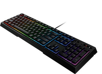 Клавиатура Razer Ornata Chroma