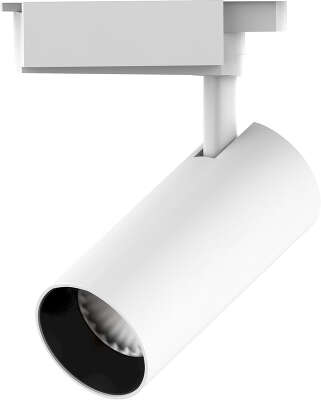 Светильник Gauss TR070 4000K цв.св.:белый нейтральный белый