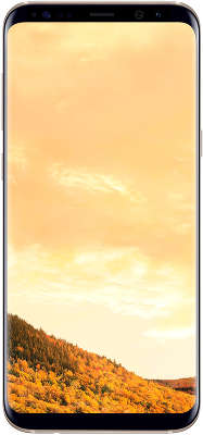 Смартфон Samsung SM-G955FD Galaxy S8+ 64 Gb, жёлтый топаз (SM-G955FZDDSER)