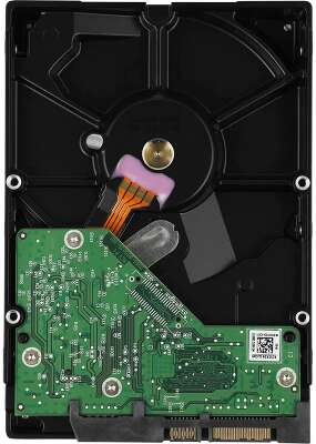 1TB WD Caviar Black (WD1003FZEX) {Serial ATA III, 7200 rpm, 64Mb buffer} 