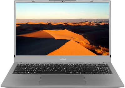 Ноутбук Rombica myBook Eclipse 15.6" FHD IPS i5 10210U 1.6 ГГц/8/256 SSD/Dos