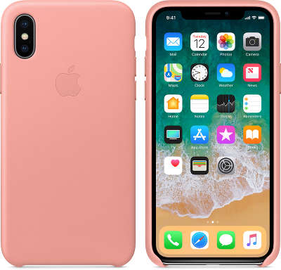 Кожаный чехол для iPhone X Apple Leather Case, Soft Pink [MRGH2ZM/A]