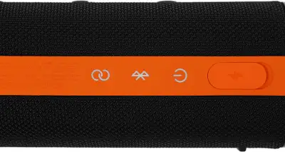 Акустическая система S29D Xiaomi Sound Outdoor 30W Black, 30W (QBH4261GL)