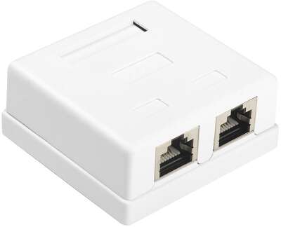 Розетка компьютерная Hyperline SB1-2-8P8C-C6-SH-WH  RJ-45(8P8C), кат 6, экранированная, двойная, внешняя, Dual IDC