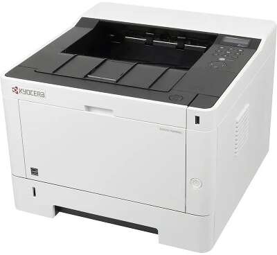 Kyocera P2040dn (1102RX3NL0)