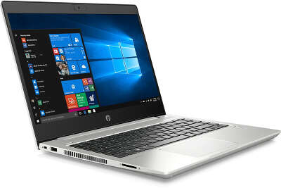 Ноутбук HP ProBook 445 G7 14" FHD R 5 4500U/16/512 SSD/WF/BT/Cam/DOS (7RX17AV)