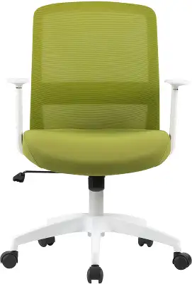 Кресло Cactus CS-WMC333-GN салатовый сиденье салатовый сетка/ткань низк.спин. крестов. пластик пластик белый