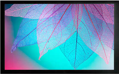 Экран на раме Cactus 124x220см FrameExpert CS-PSFRE-220X124