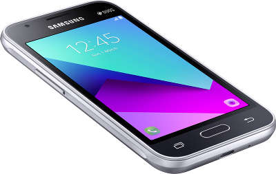Смартфон Samsung SM-J106 Galaxy J1 mini Prime, черный (SM-J106FZKDSER)