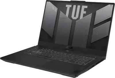 Ноутбук ASUS TUF Gaming F17 FX707ZC4-HX095 17.3" FHD IPS i5-12500H/16/512Gb SSD/RTX 3050 4G/Без OC серый