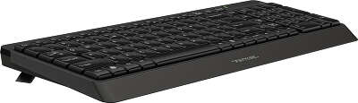 Клавиатура A4Tech Fstyler FK15 черный USB (FK15 BLACK)
