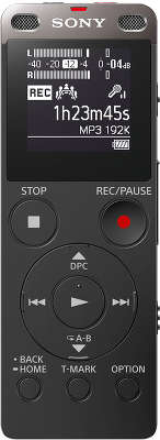 Цифровой диктофон Sony ICD-UX560 4 Гб, чёрный