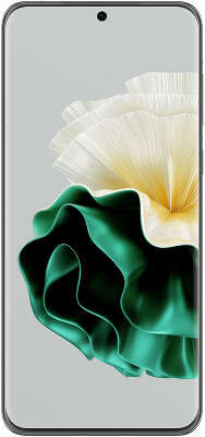 Смартфон Huawei LNA-LX9 P60 256Gb 8Gb зеленый моноблок 3G 4G 2Sim 6.67" 1220x2700 EMUI 12 48Mpix 802.11 a/b/g/n/ac/ax NFC GPS GSM900/1800 GSM1900 Protect NM max256Gb