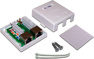 Розетка Lanmaster TWT-SM2-4545/S6-WH настен.RJ45 2 кат.6 STP бел. (упак.:1шт)