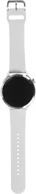 Смарт-часы Xiaomi Watch S4 47мм 1.43" AMOLED корп.серебристый рем.серый (BHR9197GL)
