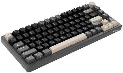 Клавиатура Royal Kludge RK-M75 Phantom (USB/2.4 GHz/Bluetоoth, RGB, Hot Swap, Brown switch)