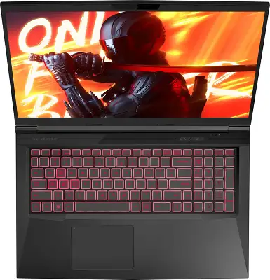 Ноутбук Maibenben X17A-R56035 Ryzen 5 6600H 16Gb SSD512Gb NVIDIA GeForce RTX 3050 4Gb 17.3" IPS FHD (1920x1080) Linux black WiFi BT Cam 4100mAh (X17A-R56035FFSLBRE0)