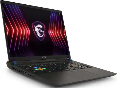 Ноутбук MSI Vector 16 HX A14VHG-831XRU Core i9 14900HX 16Gb SSD1Tb NVIDIA GeForce RTX4080 12Gb 16