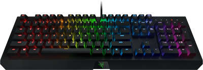 Клавиатура USB Razer BlackWidow X Chroma