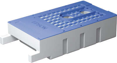 Epson C13T619300