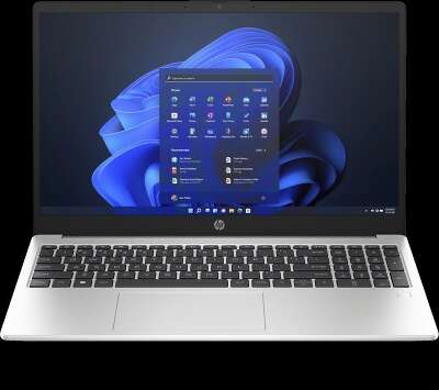 HP 250 G10 [AL0B9AT] Silver 15,6