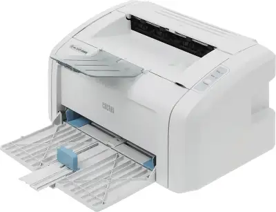 Принтер CACTUS CS-LP1120NWW