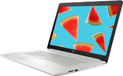 Ноутбук HP Pavilion 17-by2051ur 17.3 " FHD i3-10110U/8/512 SSD/Multi/WF/BT/Cam/DOS (2F1Y9EA)