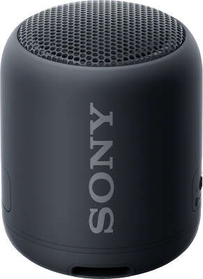 Акустическая система Sony SRS-XB12, чёрная