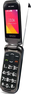 Мобильный телефон Ginzzu MF701, Black