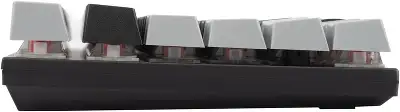 Клавиатура Оклик K600X механическая черный/серый USB Multimedia for gamer LED кабель 1.8м