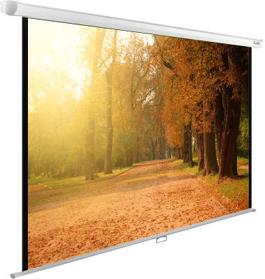 Экран настенный Cactus 125x200см WallExpert CS-PSWE-200x125-WT