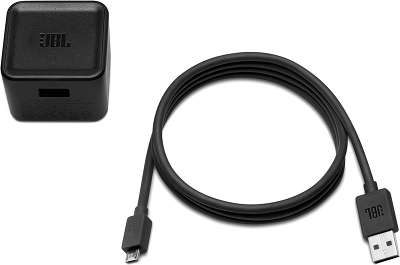 Акустическая система JBL Charge II Black [CHARGEIIBLKEU]