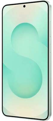 Смартфон Samsung Galaxy S25+ 12+512Gb мятный (SM-S936BLGCCAC)