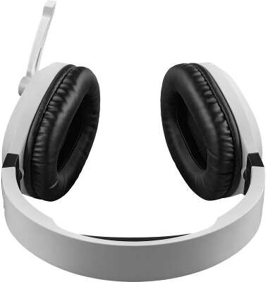 Гарнитура беспроводная DEFENDER Phantom PRO (Фантом Про) белый (микрофон, Bluetooth/2.4G, Jack 3.5mm, Type-C) (64580)