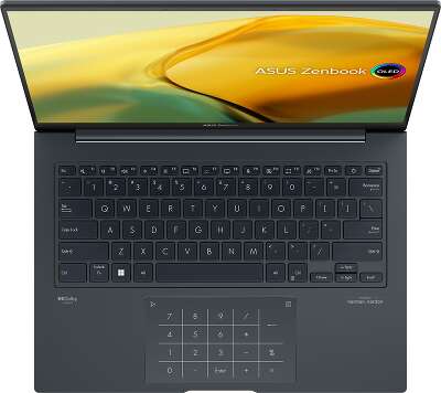 Ноутбук ASUS ZenBook 14X UX3404VA-M9091X 14.5" WQHD+ OLED i9-13900H/6/1Tb SSD/W11Pro серый