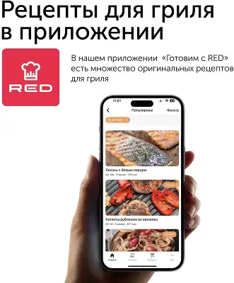 Электрогриль Red Solution SteakPRO RGM-M81 1950Вт черный/серебристый