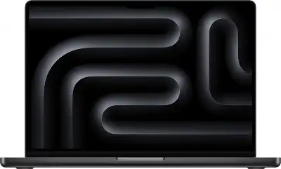 Apple MacBook Pro 14" Space Black (M4 Max 14C CPU, 32C GPU/36Gb/1TB SSD) (MX2K3LL/A)