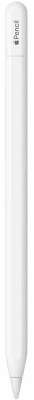 Apple Pencil (USB-C) (MUWA3ZM/A)