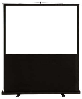 Экран Cactus 90