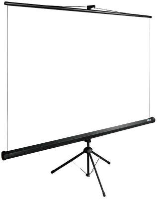 Экран Cactus 160x160см TriExpert CS-PSTE-160x160-BK 1:1 напольный рулонный черный