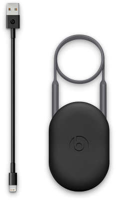 Наушники с ПДУ и микрофоном Beats BeatsX Wireless, Gray [MNLV2ZE/A]