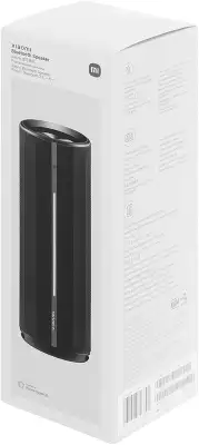 Акустическая система Xiaomi Bluetooth Speaker, 40W (QBH4275GL)