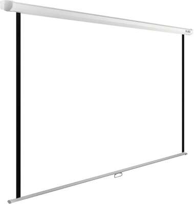 Экран Cactus 220x220см WallExpert CS-PSWE-220x220-WT 1:1 настенно-потолочный рулонный