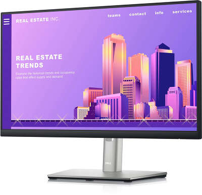 Монитор Dell 23.8" P2422H черный IPS LED 16:9 HDMI матовая HAS Piv 1000:1 250cd 178гр/178гр 1920x1080 60Hz VGA DP FHD USB 5.57кг