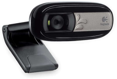 WEB-камера Logitech WebCam C170 (960-001066)