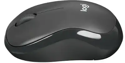 Logitech Wireless Mouse M240 SILENT (910-007120)