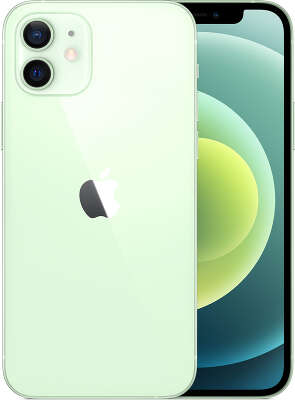 Смартфон Apple iPhone 12 [MGJ93RU/A] 64 GB Green