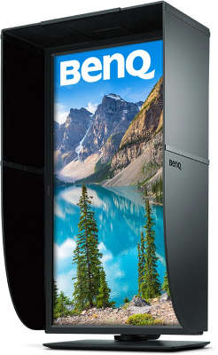 Монитор Benq 31.5" SW320 черный IPS
