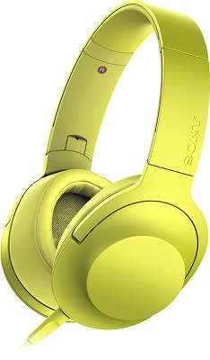 Sony 100aap deals