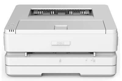Принтер Deli P2500DN